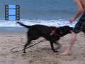 2010-08_05 Hemi - VA Beach Ocean Swimming_0178